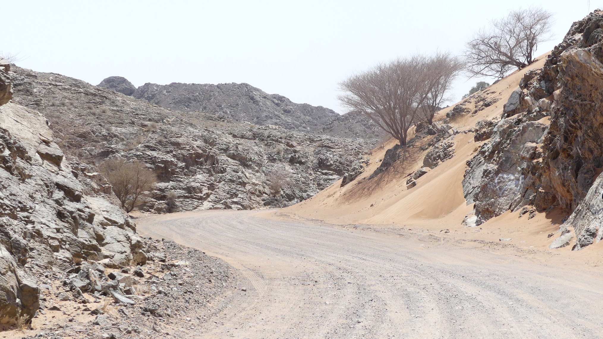 Wadi Asimah